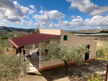 Villetta con uliveto