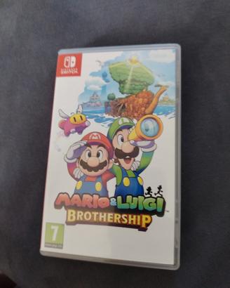 Mario e luigi fraternauti alla carica