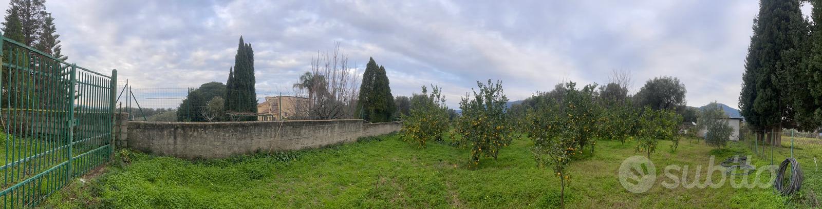 Terreno Agricolo - Vista 5