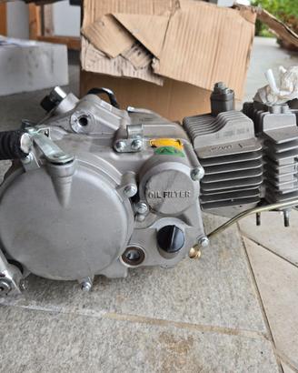 Motore pitbike YX 170 replica Takega