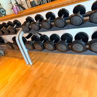 Manubri technogym 4-26 kg