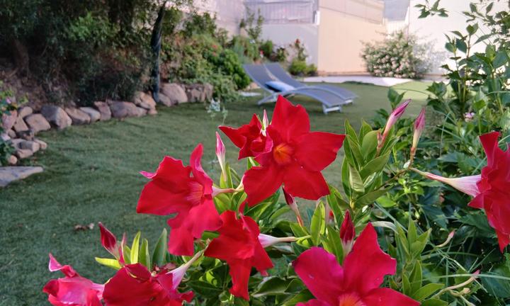 Costa rei Villa con vista mare