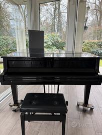 PETROF ORIGINALE- Per studio e Concerto