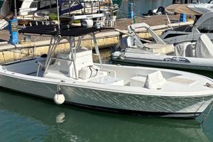 Barca da pesca STRIKE 29 OPEN