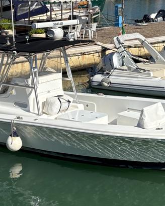 Barca da pesca STRIKE 29 OPEN