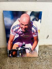 Pantani pannello fonoassorbente