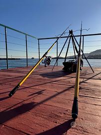 Shimano Beastmaster FX Surf Tele 4.25m