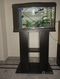 Acquario 65 litri