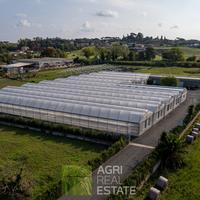 Terreno agricolo di 1,3 HA con serre