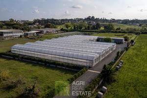 Terreno agricolo di 1,3 HA con serre