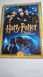 Collezione completa DVD Harry Potter (7 film)