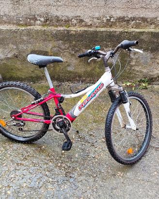 bicicletta mtb