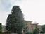 Immagine 14
