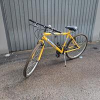 bicicletta da ragazzo