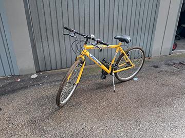 bicicletta da ragazzo