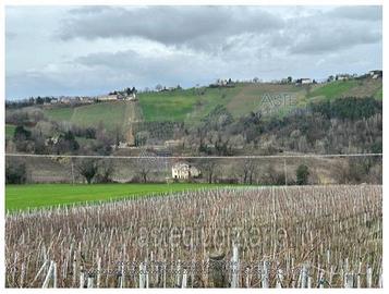 Azienda Agricola Poggio San Marcello [A4340675]