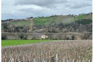 Azienda Agricola Poggio San Marcello [A4340675]