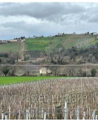 Azienda Agricola Poggio San Marcello [A4340675]