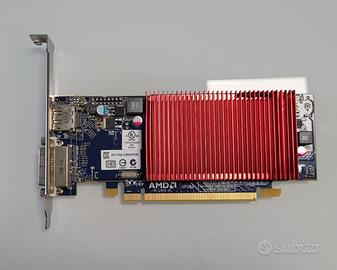 AMD Radeon HD 6450 1GB silenziosa DVI DP