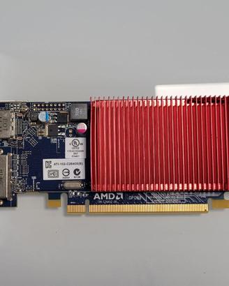 AMD Radeon HD 6450 1GB silenziosa DVI DP