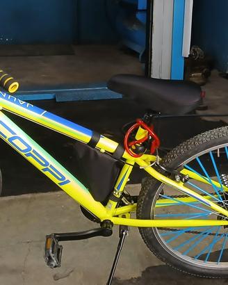 Bicicletta