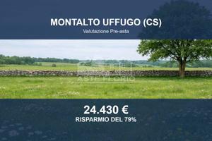 Immobile in asta di 11890 m² a Montalto Uffugo