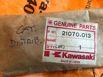 Catena di distribuzione KAWASAKI