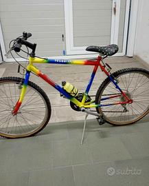 bicicletta trubbiani