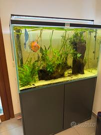 Aquario artigianale da 400 litri