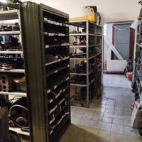 ricambi pasquali Goldoni valpadana BCS grillo sep