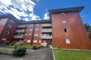 Appartamento - Gorizia