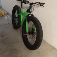 fat bike - bulk verde 