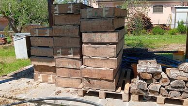 casse di legno uva olive