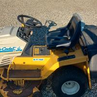 Trattorino tagliaerba MTD