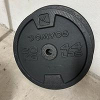 Dischi in ghisa 20 kg foro 28 mm