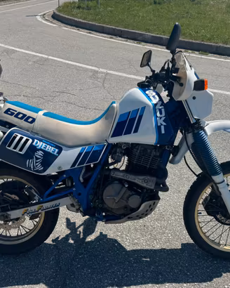 Suzuki dr 600 djebel
