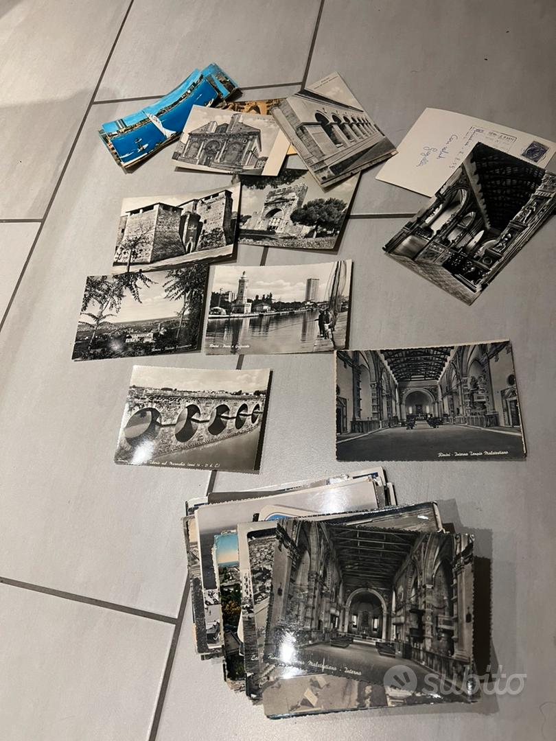 Set 100 Cartoline Animali Bear And Bee - 15x10cm Su Cartoncino 300GSM | Per Collezionisti E Appassionati - Foto 10