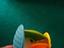 Immagine 4