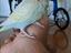 Immagine 2