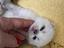 Immagine 3