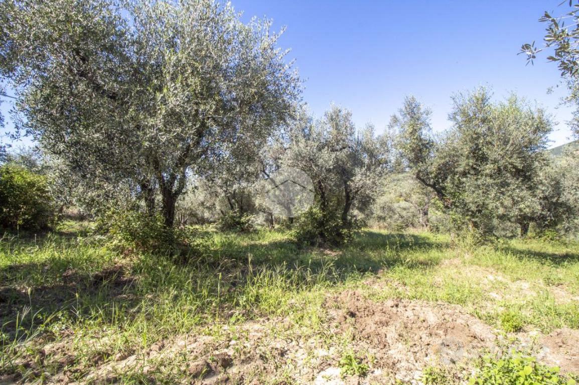 RUSTICO A PALOMBARA SABINA - View 5