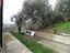 Immagine 26