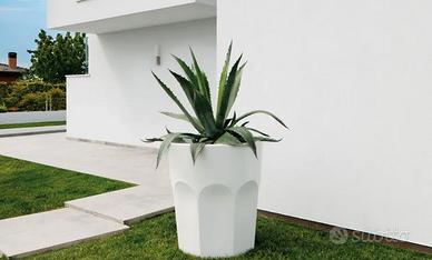 Vaso, portabottiglie Cubalibre, USATO