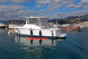 LUHRS 290 T-TOP BARCA NATANTE -VALUTO PERMUTA