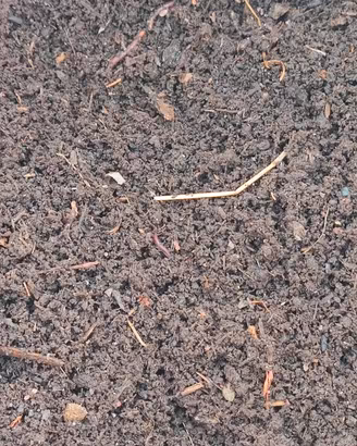 🌱 Terriccio compost con lombrichi (100% autoprodo