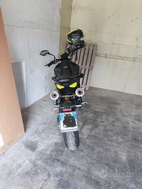 Mondial Piega - 2024