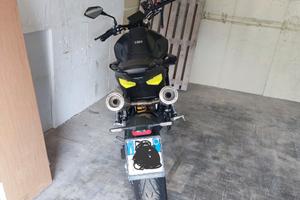 Mondial Piega - 2024