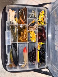 Esche da pesca