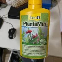 Acquario per pesci tetra 54l