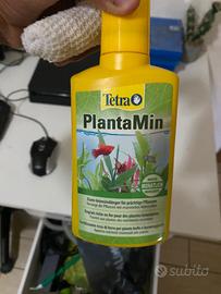 Acquario per pesci tetra 54l